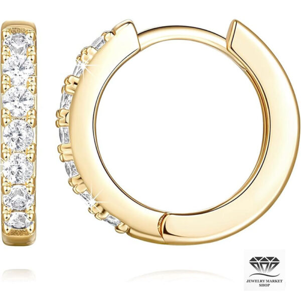 14K Gold Hoop Earrings for Women